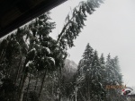 IMG_7117.JPG