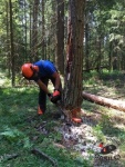 IMG_0023.JPG